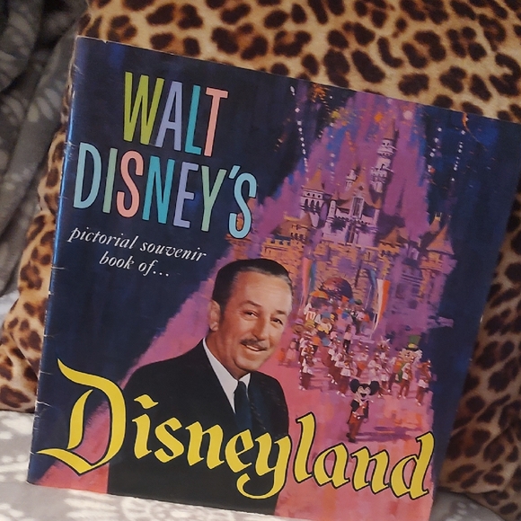 Disney Other - Disney, Disneyland Souvenir 📚